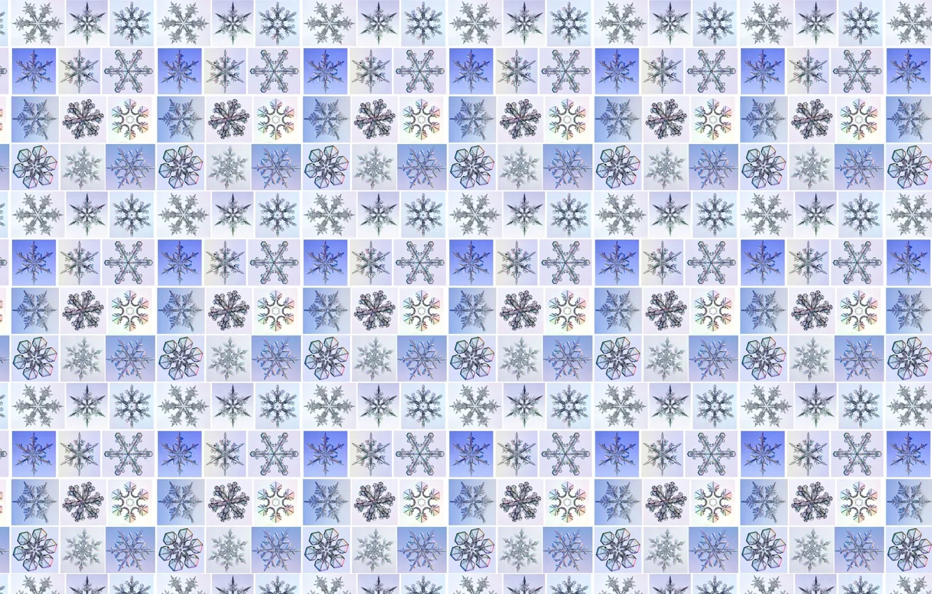 Photo wallpaper snowflakes, mesh, figure, new year, stars, squares, grille, texture