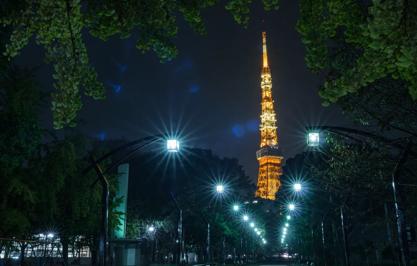 Photo wallpaper night, the city, lights, Park, tower