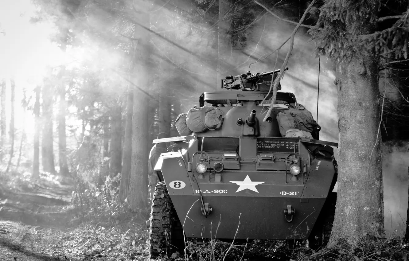 Photo wallpaper forest, war, armored car, easy, period, world, Second, "Greyhound"