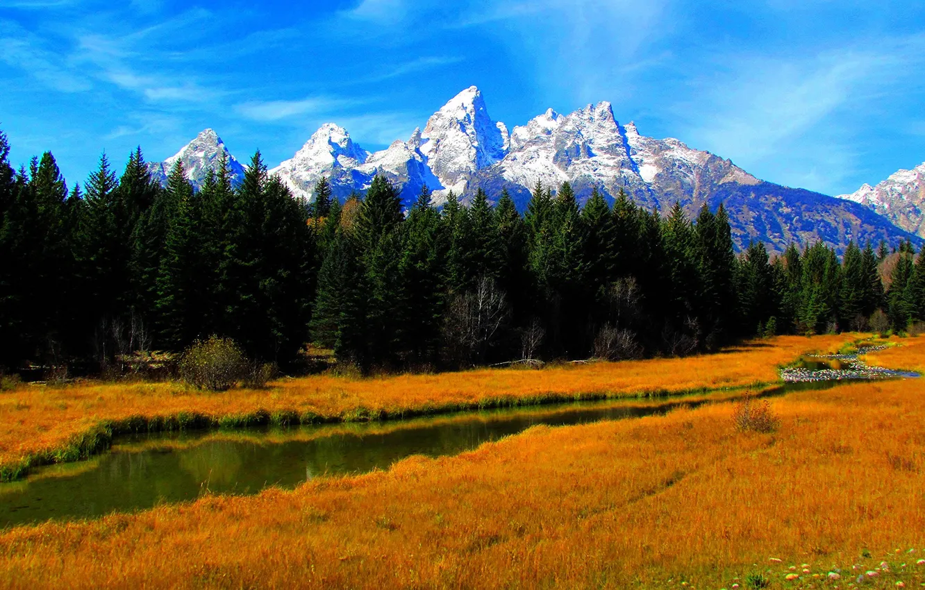 Photo wallpaper autumn, mountains, the sky, grass, river, forest