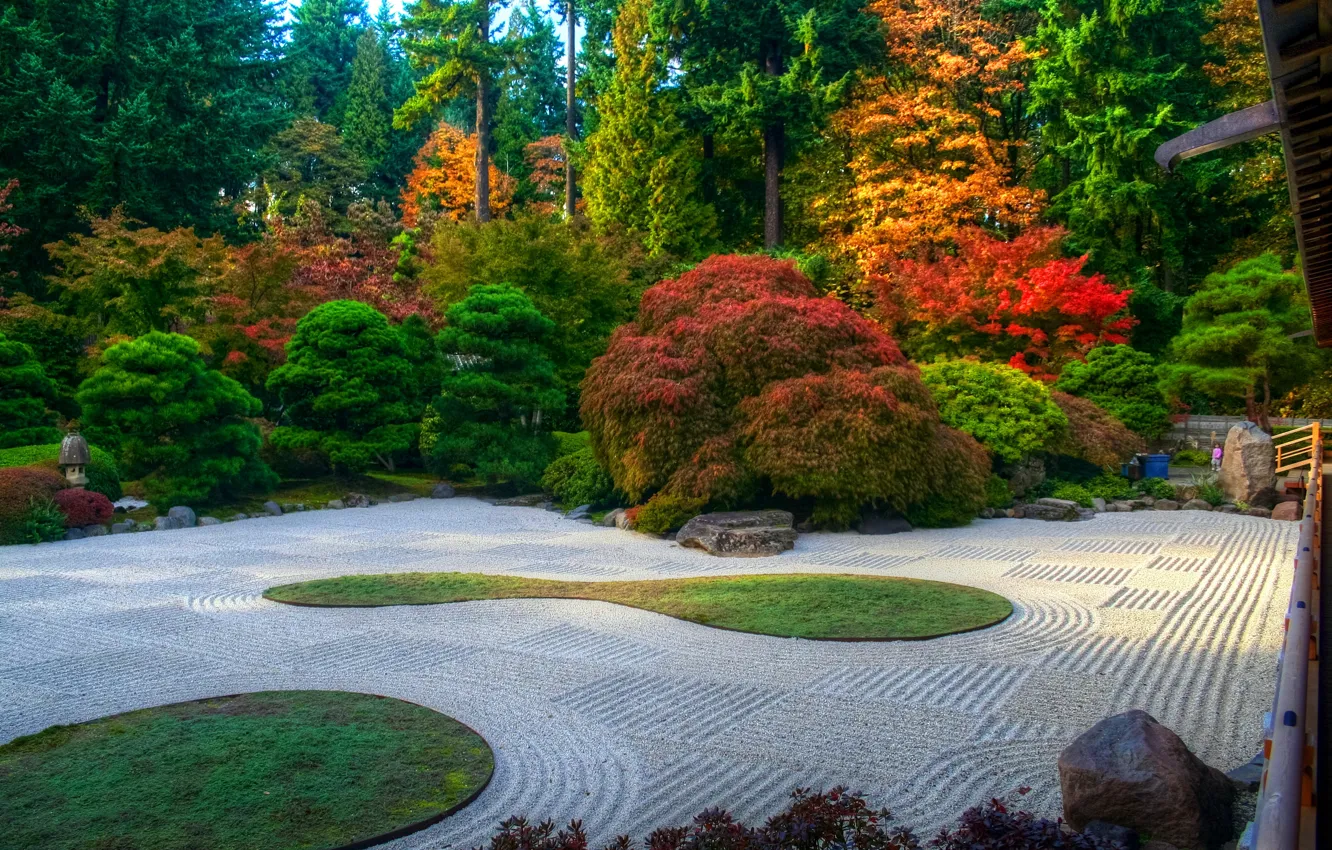 Photo wallpaper autumn, trees, Park, lawn, track, USA, the bushes, Oregon