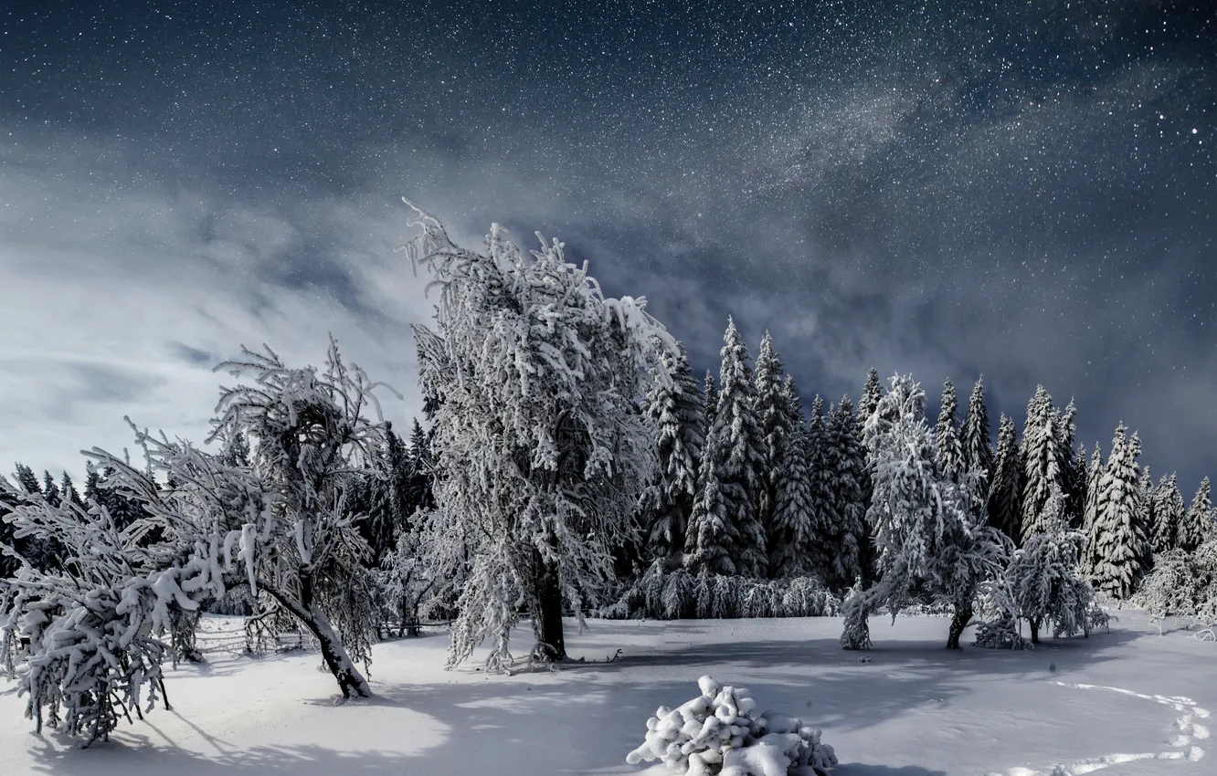 Photo wallpaper sky, night, winter, fantastic, snowy, starry, milky way