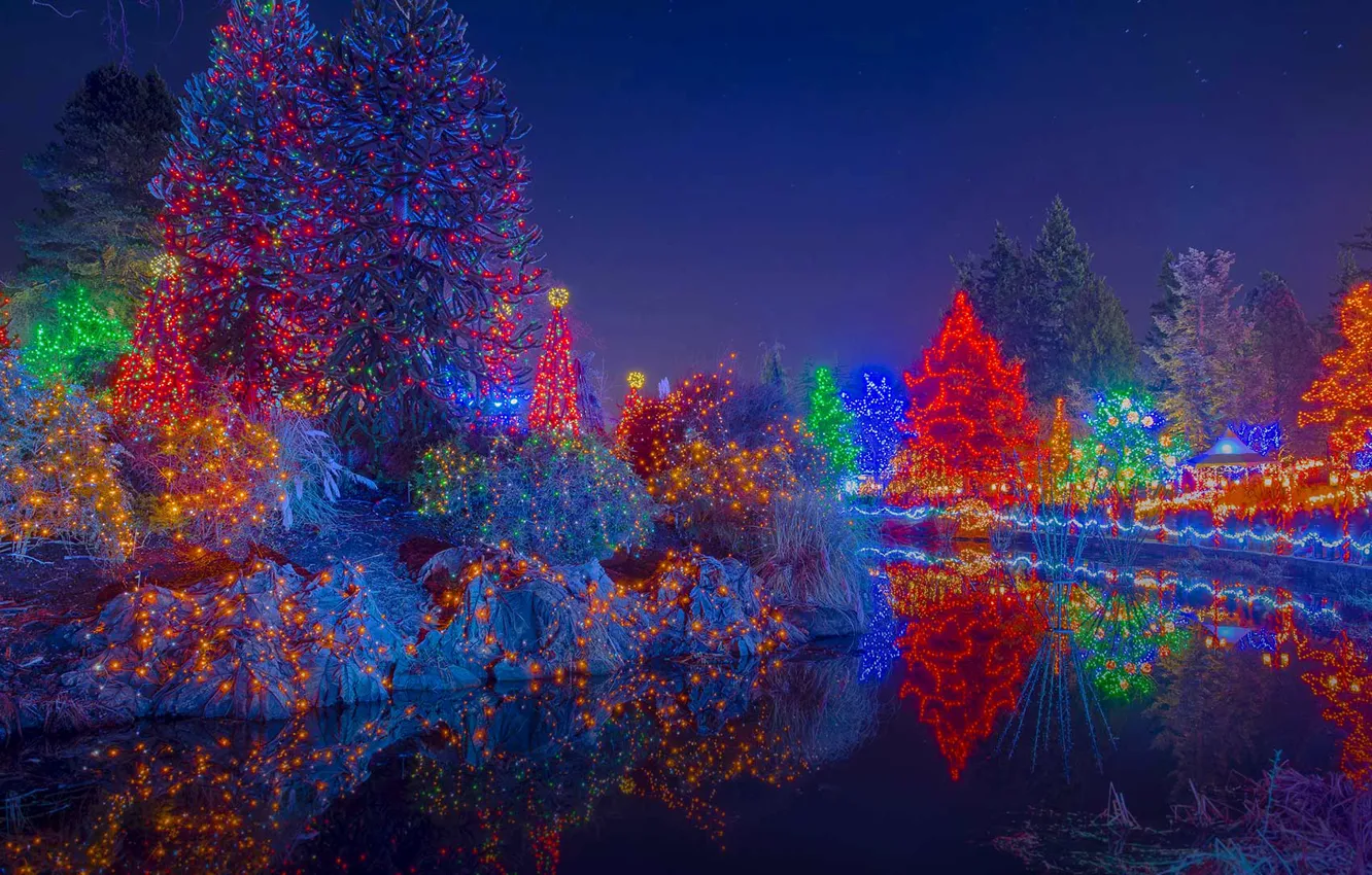 Photo wallpaper trees, lights, holiday, Canada, Christmas, Vancouver, Botanical garden, the festival of lights