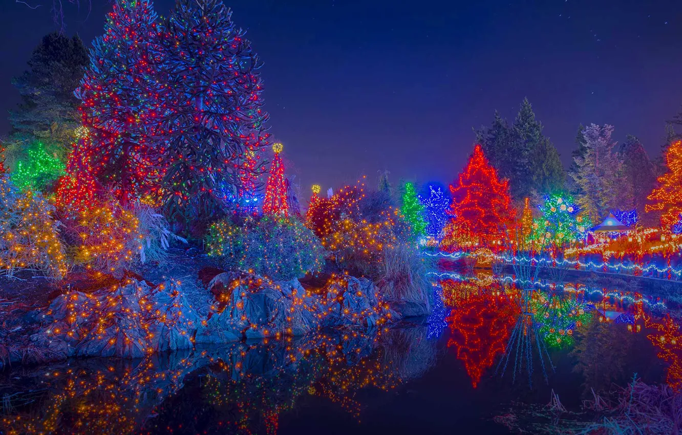 Photo wallpaper trees, lights, holiday, Canada, Christmas, Vancouver, Botanical garden, VanDusen Botanical Garden
