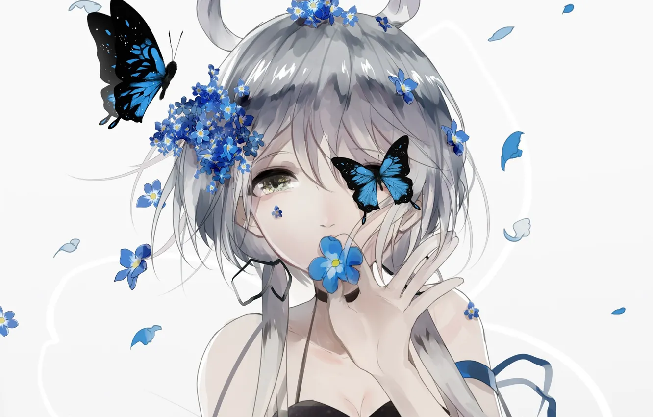 Photo wallpaper girl, butterfly, portrait, Vocaloid