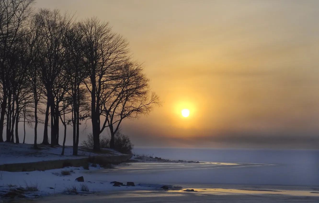 Photo wallpaper ice, winter, the sun, snow, trees, lake, dawn