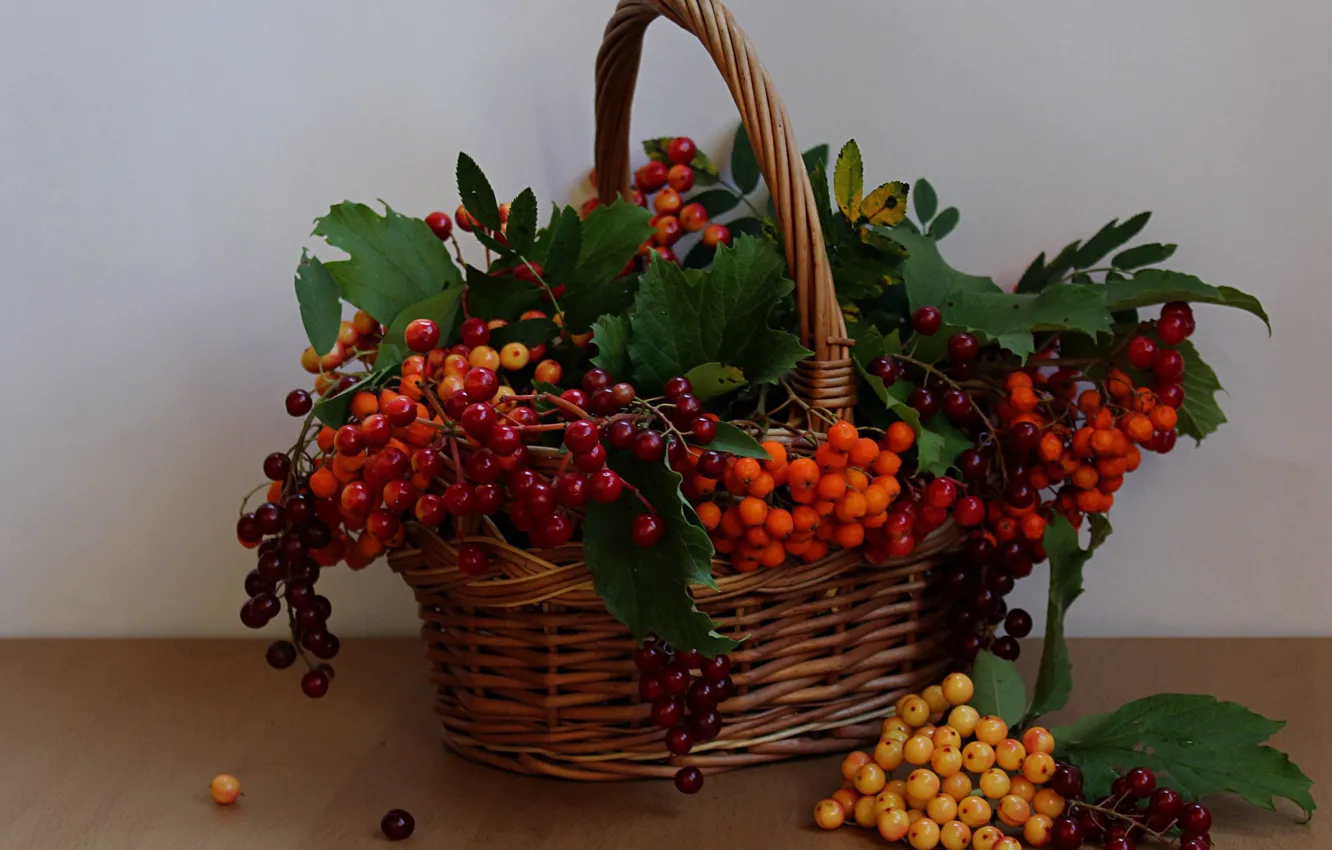 Photo wallpaper summer, berries, basket, still life, Rowan, Kalina, berries wolf