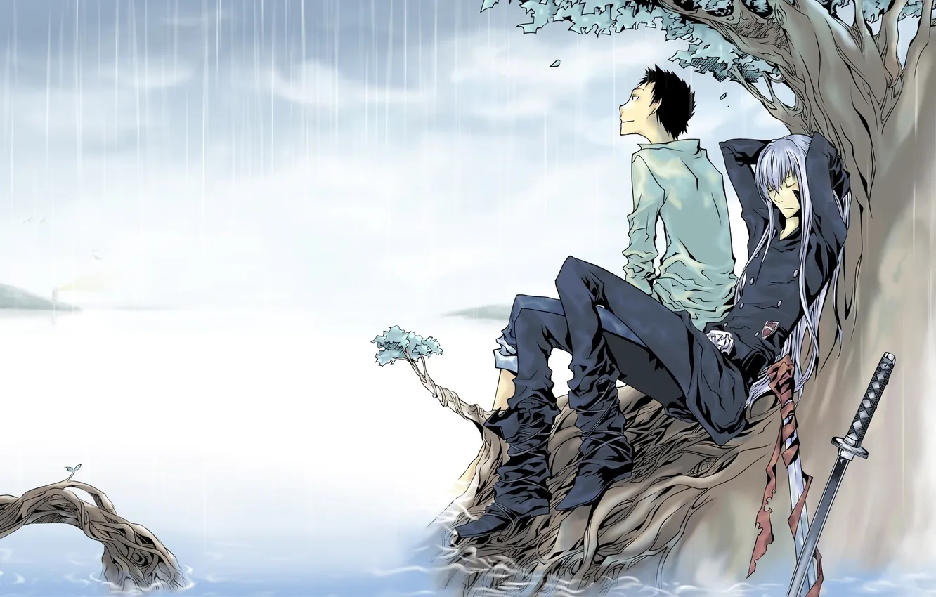 Photo wallpaper rain, tree, katana, anime, Anime, Katekyo Hitman Reborn!, Takeshi Yamamoto, Superbi Squalo