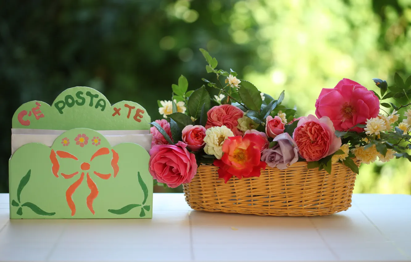 Photo wallpaper flowers, roses, still life