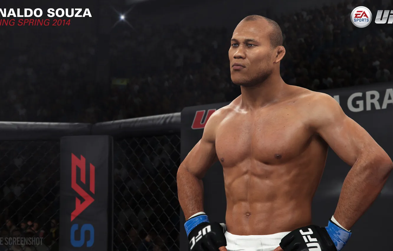 Photo wallpaper Ronaldo, ufc, EA Sports, champion, PS4, Playstation 4, Souza