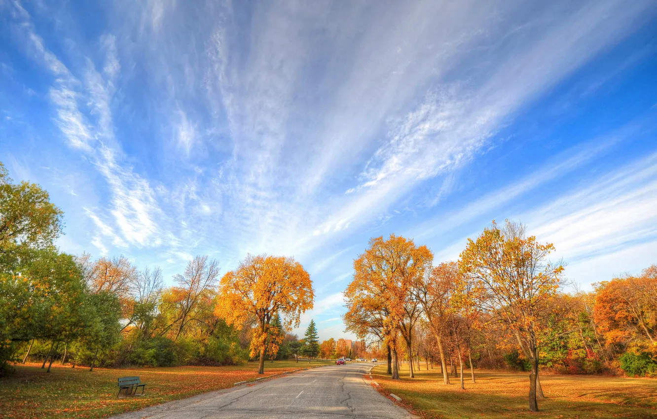 Photo wallpaper road, autumn, the sky, leaves, clouds, trees