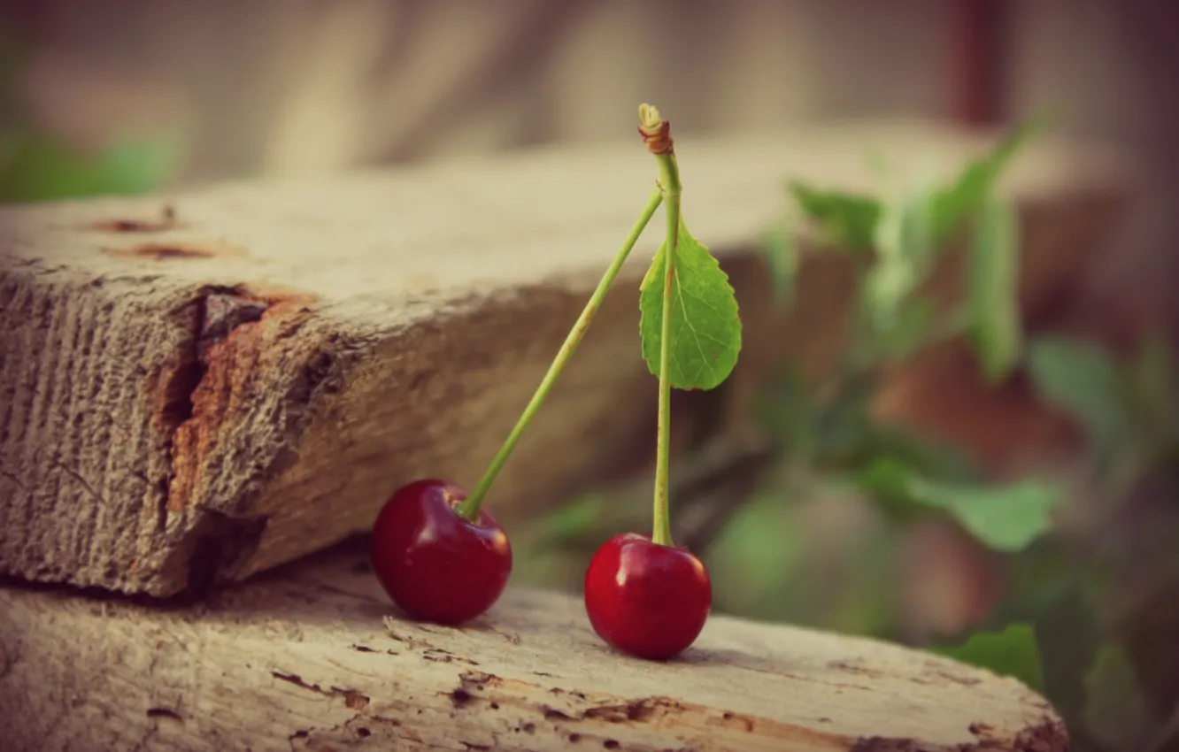 Photo wallpaper cherry, berries, leaf