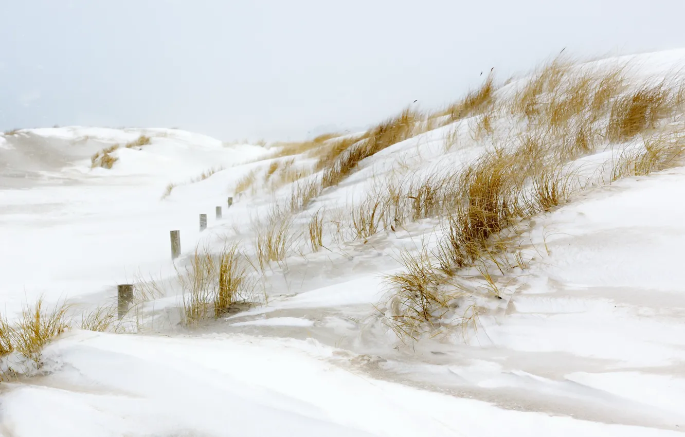 Photo wallpaper winter, snow, shore, dunes