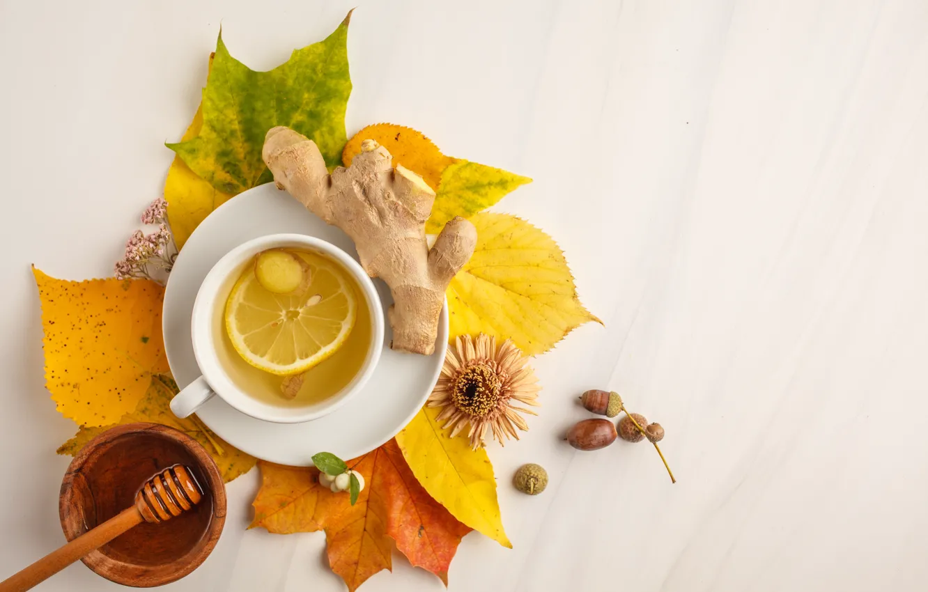 Photo wallpaper autumn, leaves, lemon, tea, honey
