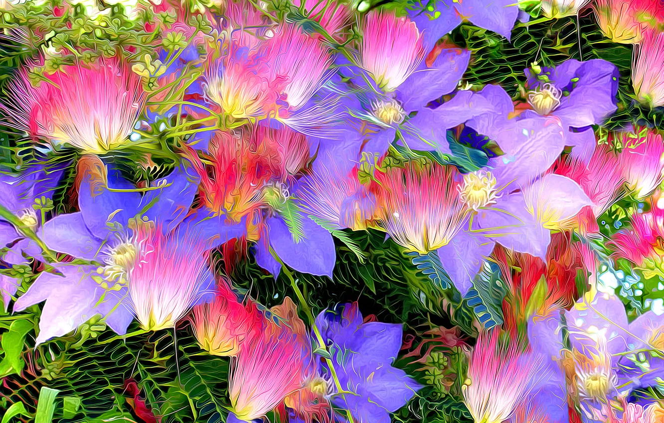 Photo wallpaper line, flowers, paint, petals