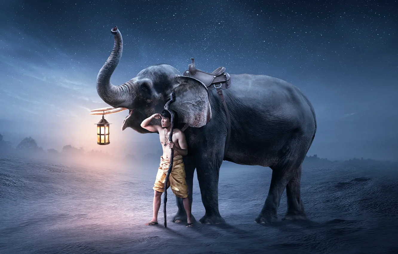 Photo wallpaper elephant, lantern, guy, fantastic artworks, In the night