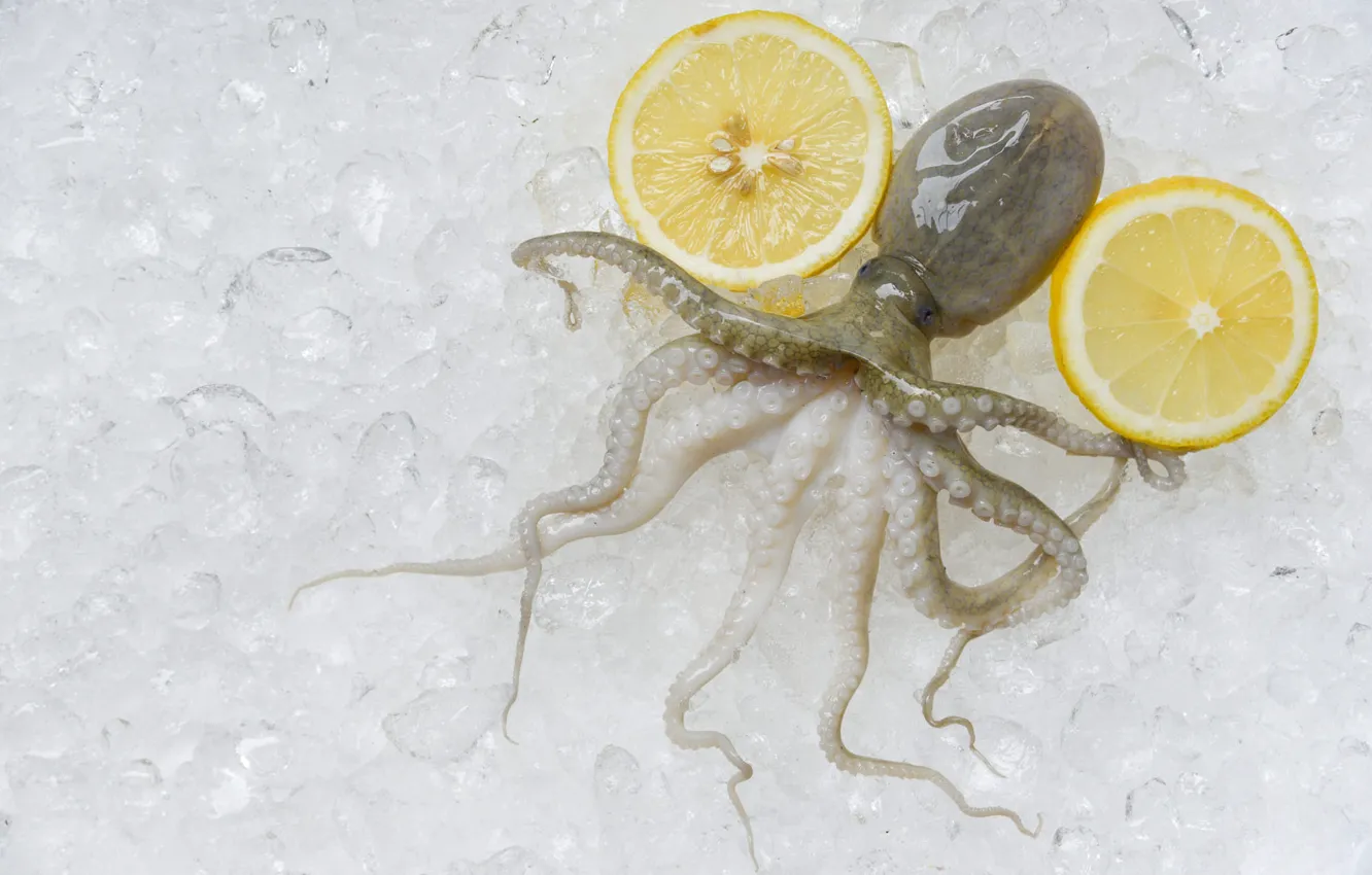 Photo wallpaper background, food, ice, octopus, tentacles, halves, lemons, fresh