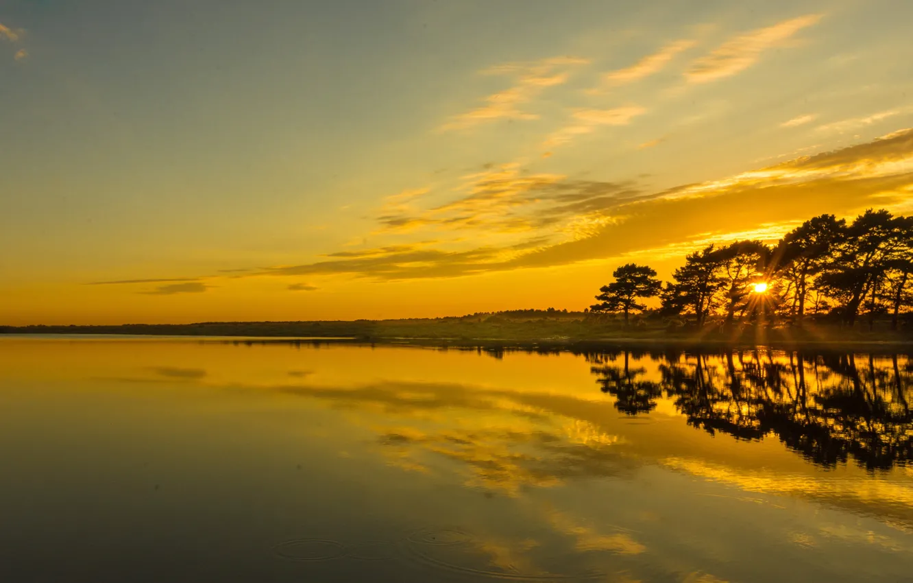 Photo wallpaper trees, sunset, lake, reflection, England, England, Hampshire, Hampshire