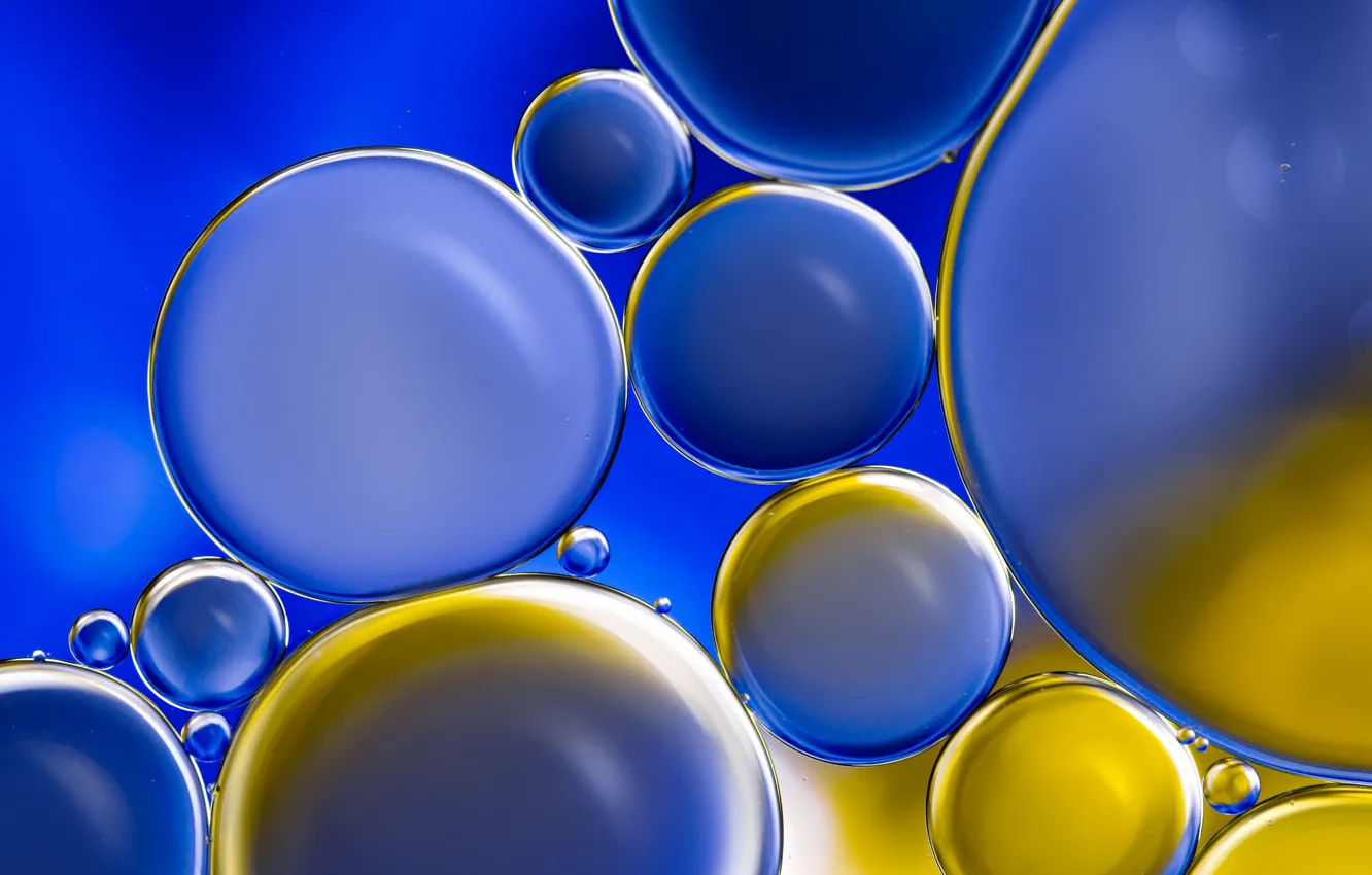 Photo wallpaper circles, blue, bubbles