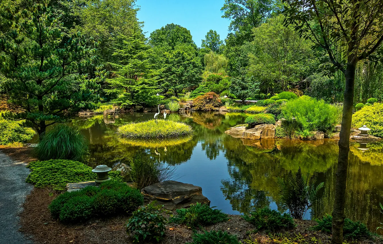 Photo wallpaper greens, water, trees, pond, Park, stones, USA, Ball Ground