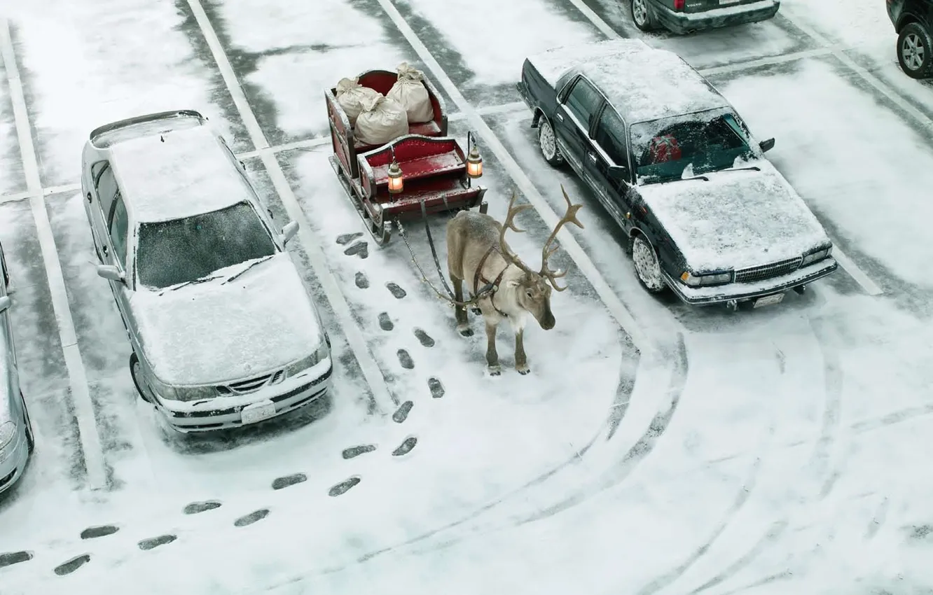 Photo wallpaper machine, traces, street, deer, gifts, Parking, sleigh, bags