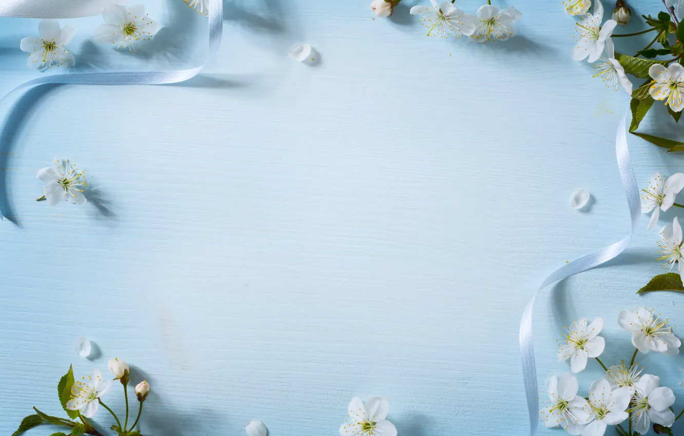 Photo wallpaper flowers, spring, Apple, wood, blue, blossom, flowers, spring