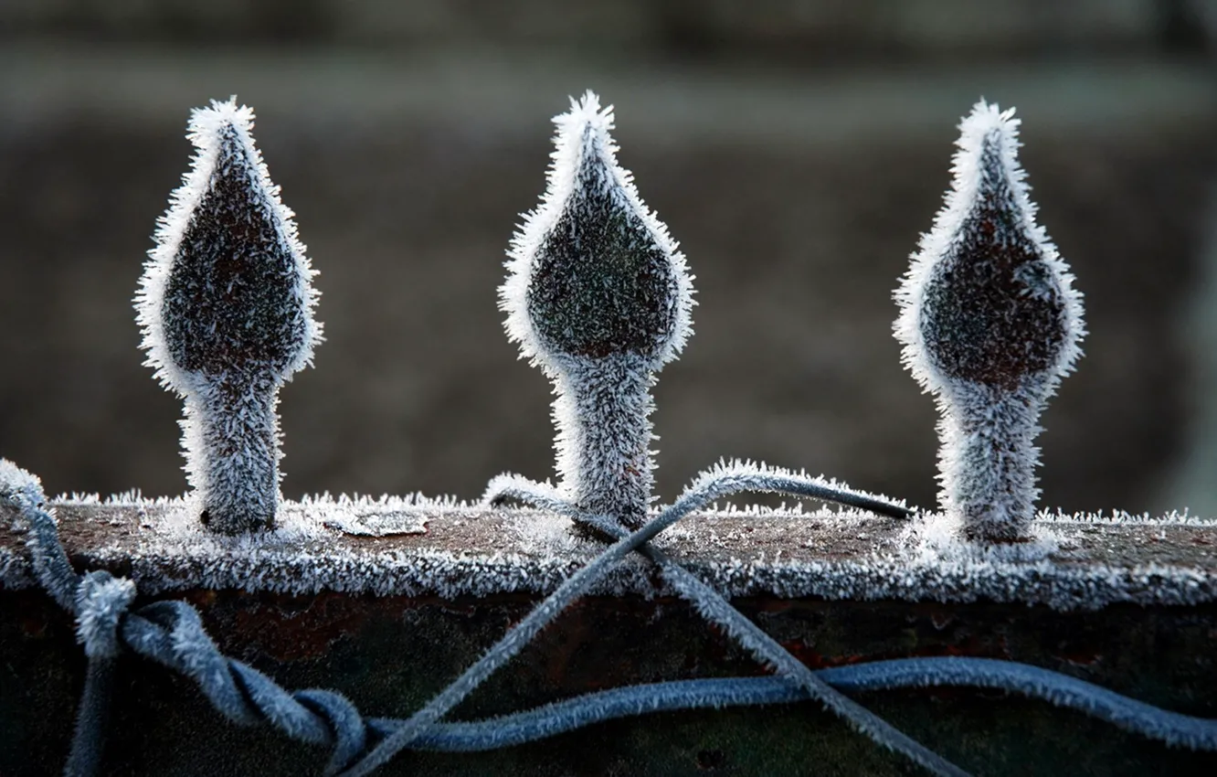 Photo wallpaper frost, the fence, fence, frost, peaks
