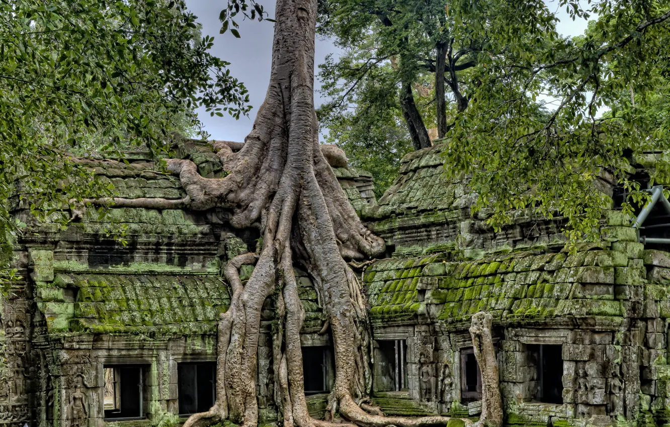 Photo wallpaper the sky, trees, ruins, architecture, Cambodia, Angkor Wat