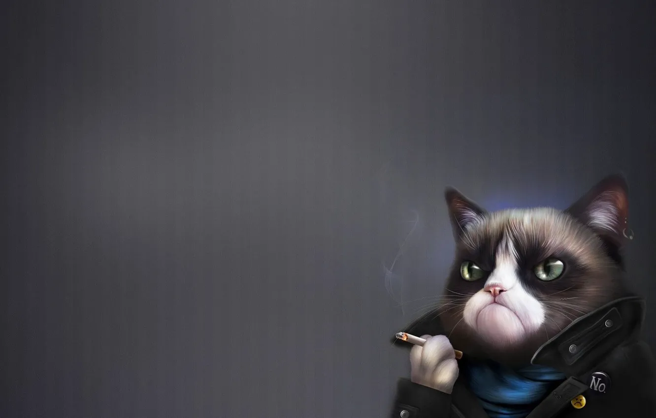 Photo wallpaper cat, cat, style, background, smoke, minimalism, art, cigarette