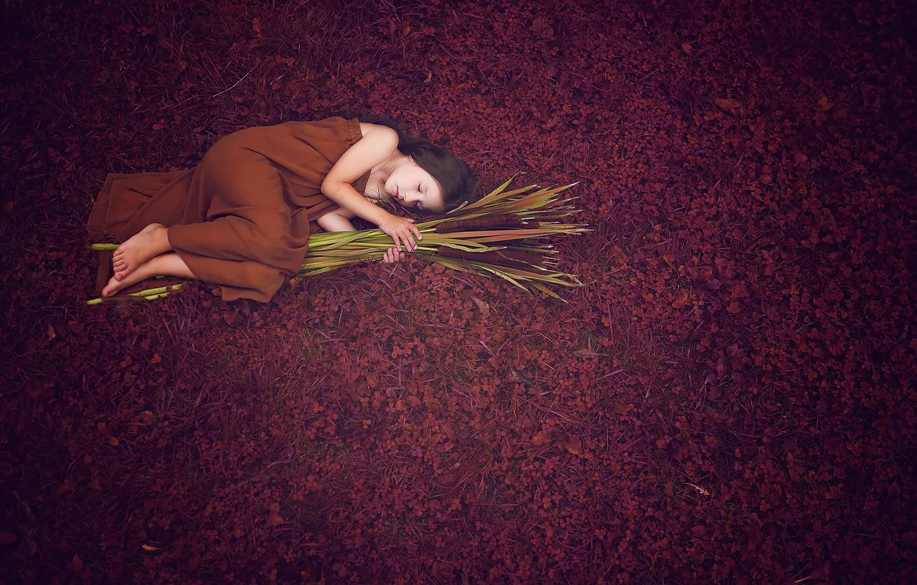 Photo wallpaper girl, pose, mood