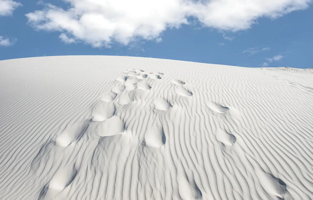 Photo wallpaper sand, the sky, clouds, traces, the dunes, desert
