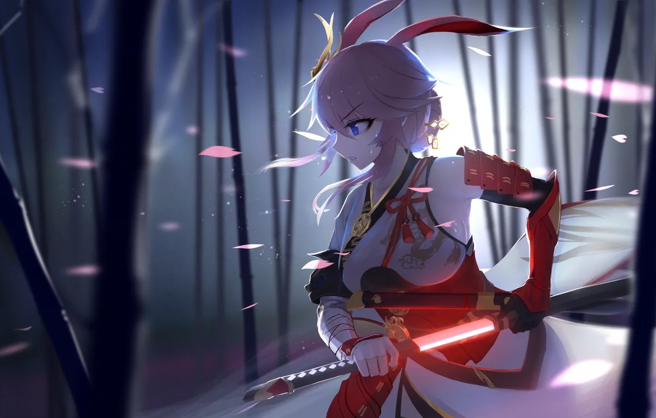 Photo wallpaper girl, sword, anime, Benghuai Xueyuan