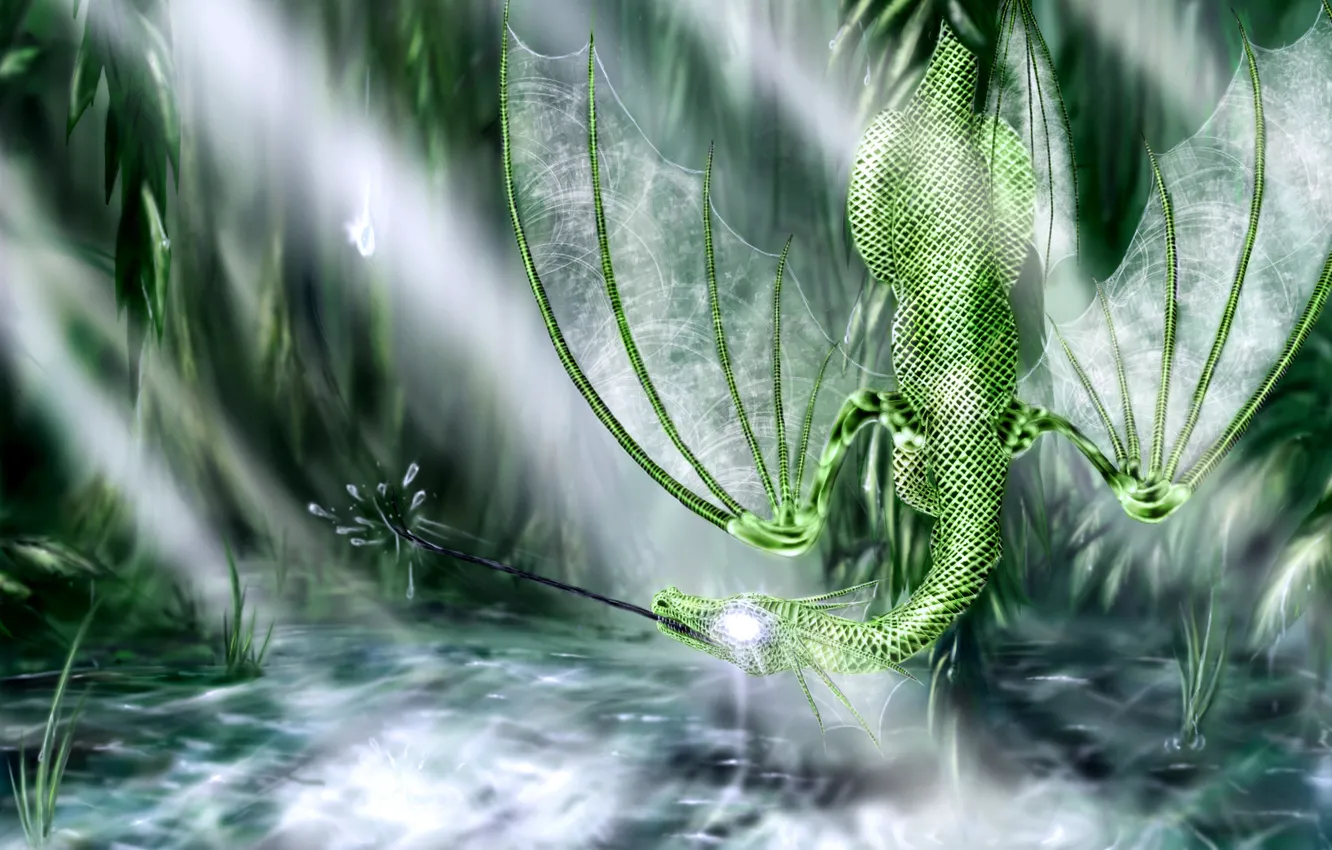 Photo wallpaper dragon, swamp, green