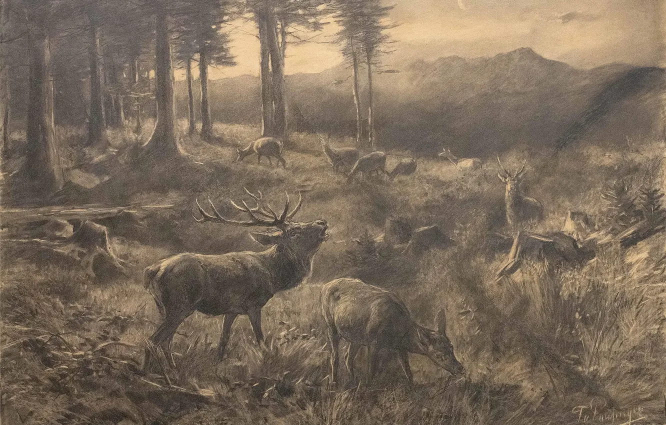Photo wallpaper Grass, Trees, Picture, Deer, Pencil, Franz Xaver von Pausinger, A flock of deer in a …