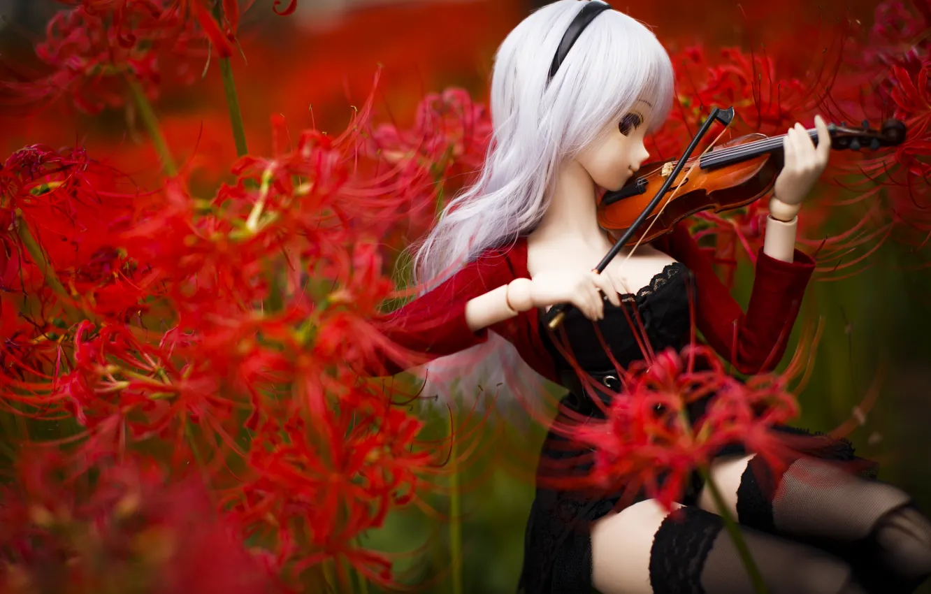 Photo wallpaper flowers, violin, toy, doll