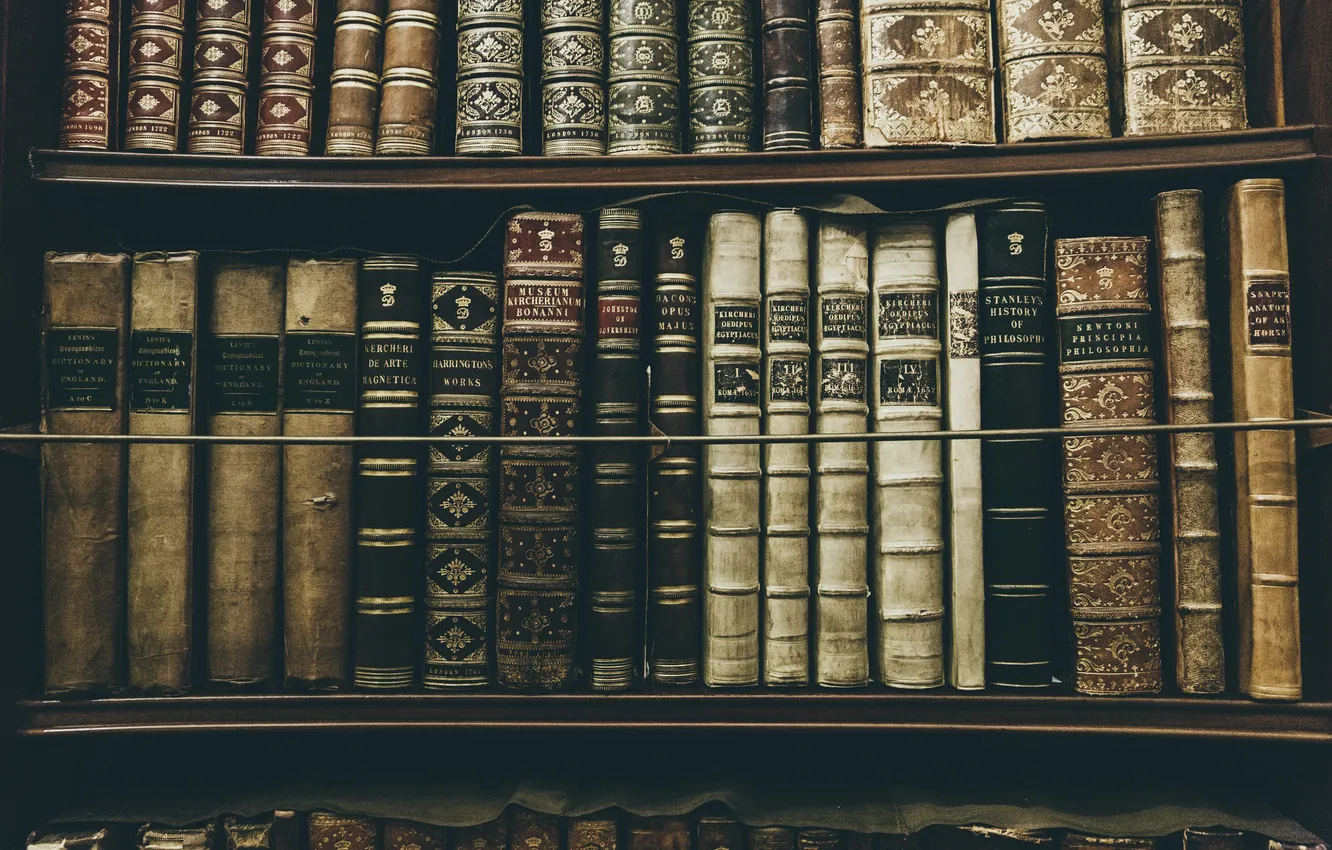 Photo wallpaper book, library, Bookshelves, folio, second-hand books