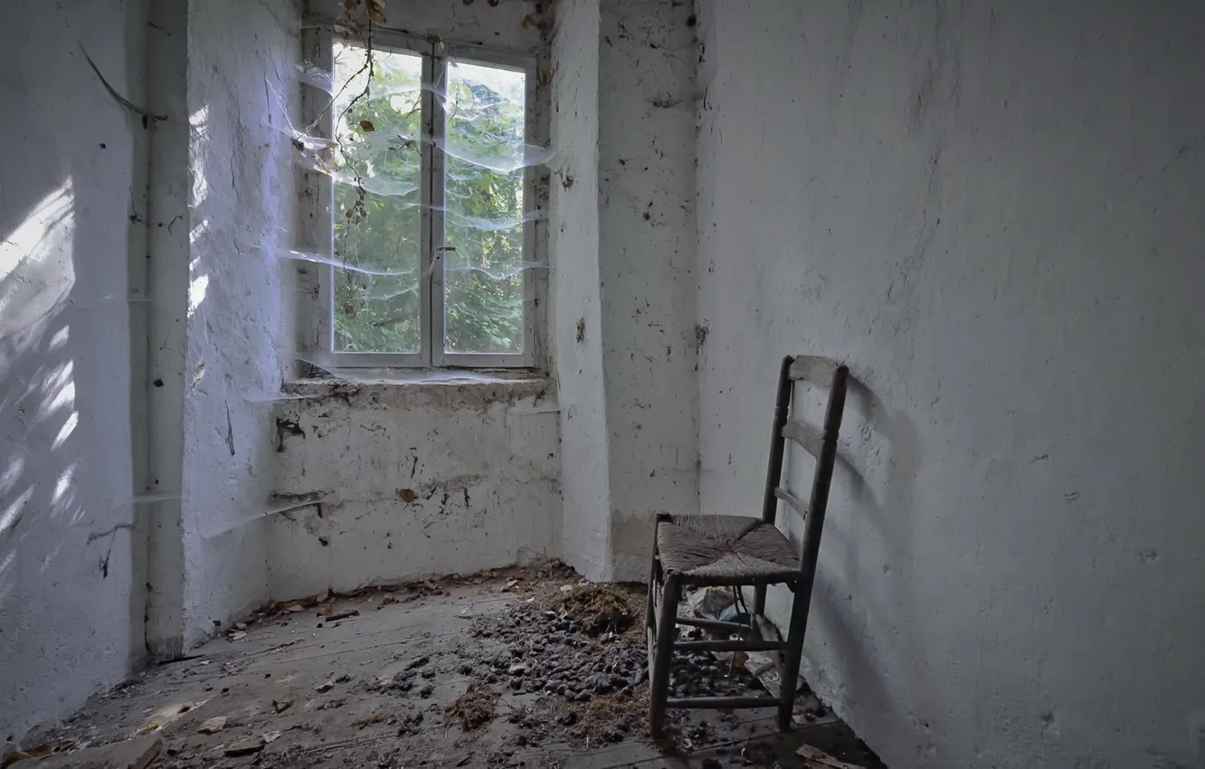 Photo wallpaper room, window, chair