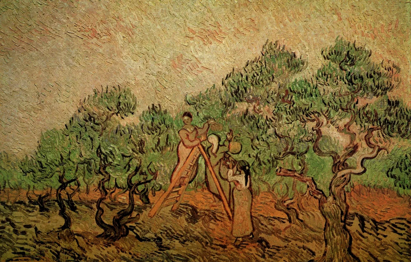 Photo wallpaper trees, ladder, two girls, Vincent van Gogh, collect fruits, Olive Picking 3