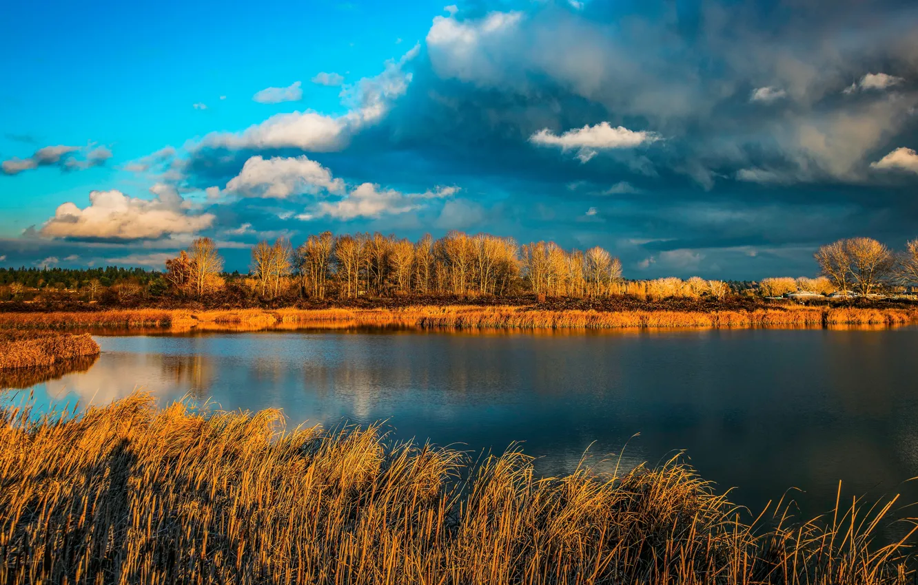 Photo wallpaper autumn, clouds, light, trees, blue, shore, pond