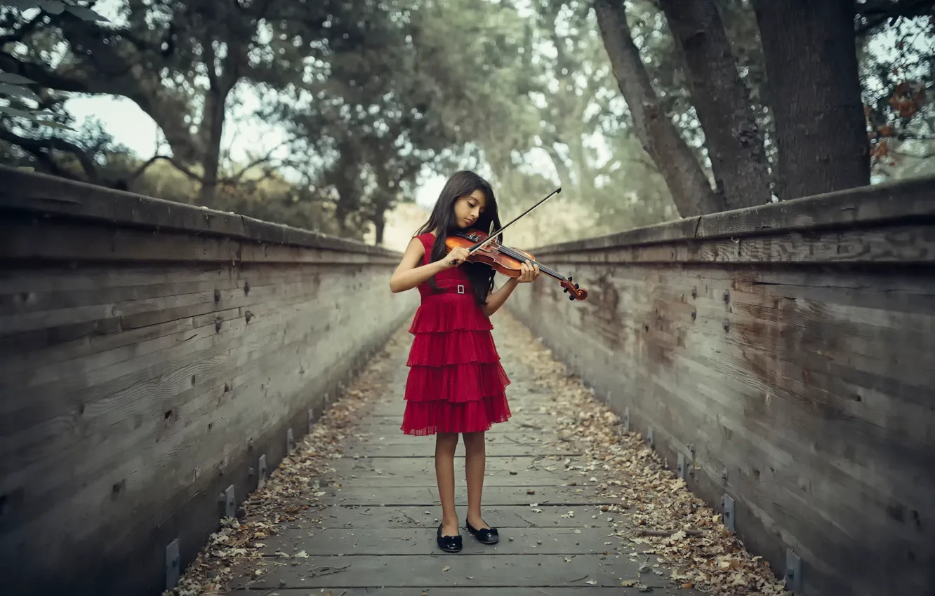 Photo wallpaper violin, girl, The Violinist