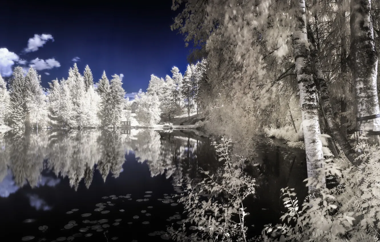 Photo wallpaper summer, landscape, lake, color