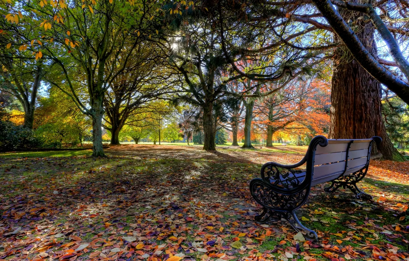 Photo wallpaper autumn, leaves, trees, bench, Park, New Zealand, New Zealand, Blenheim