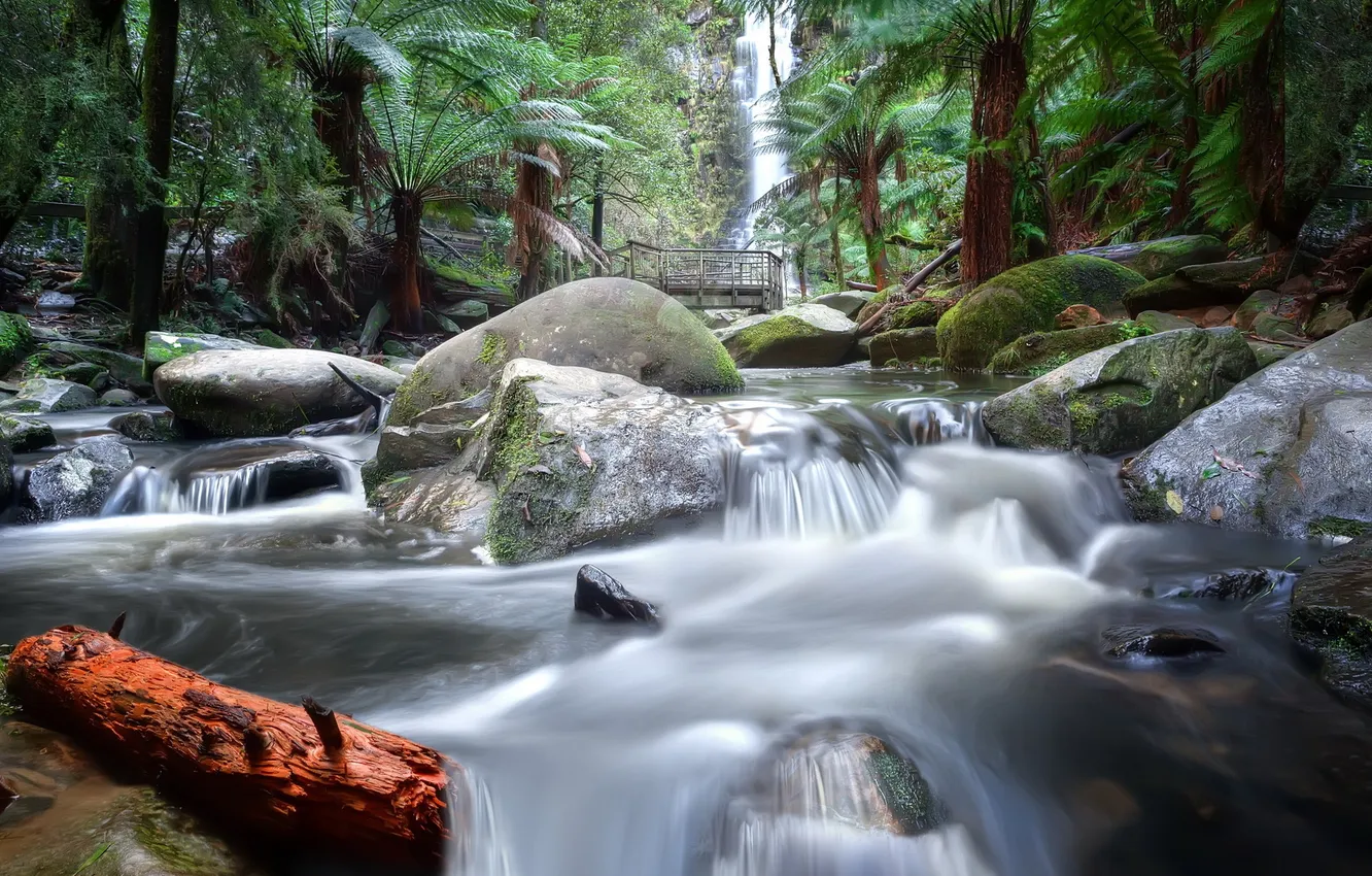 Photo wallpaper landscape, bridge, nature, river