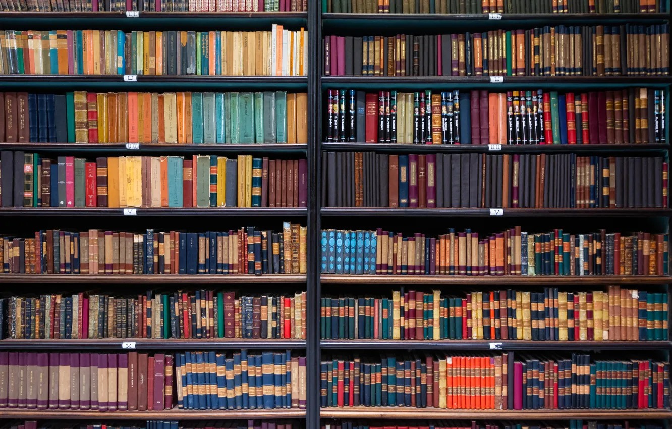 Photo wallpaper colors, books, library