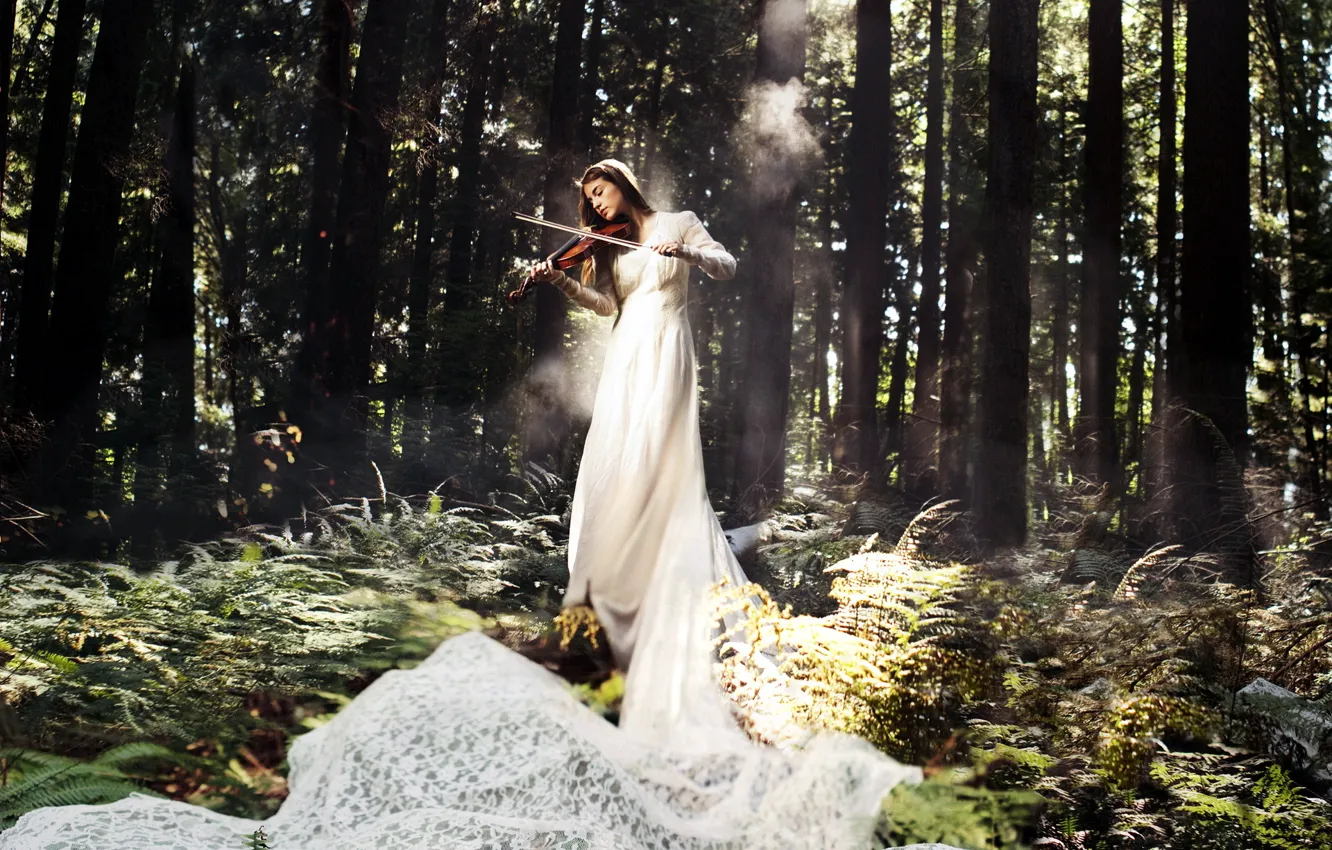 Photo wallpaper forest, girl, music, violin