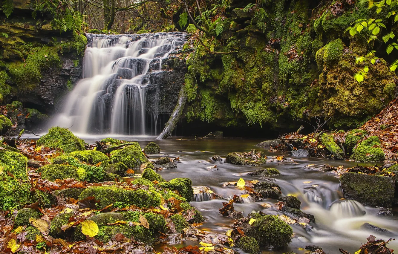 Photo wallpaper autumn, leaves, England, waterfall, moss, cascade, England, West Yorkshire