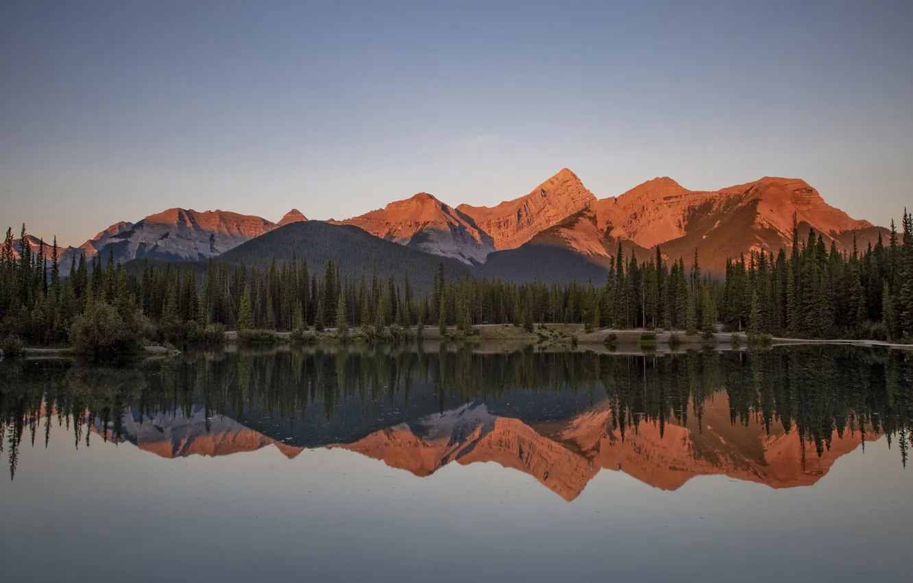 Photo wallpaper forest, mountains, lake, reflection