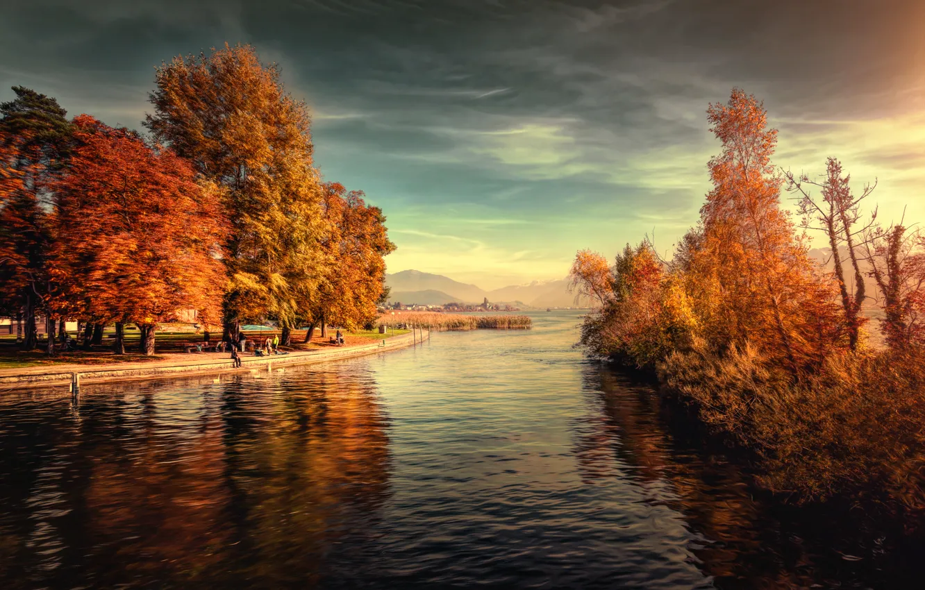 Photo wallpaper water, trees, treatment, Lakeside