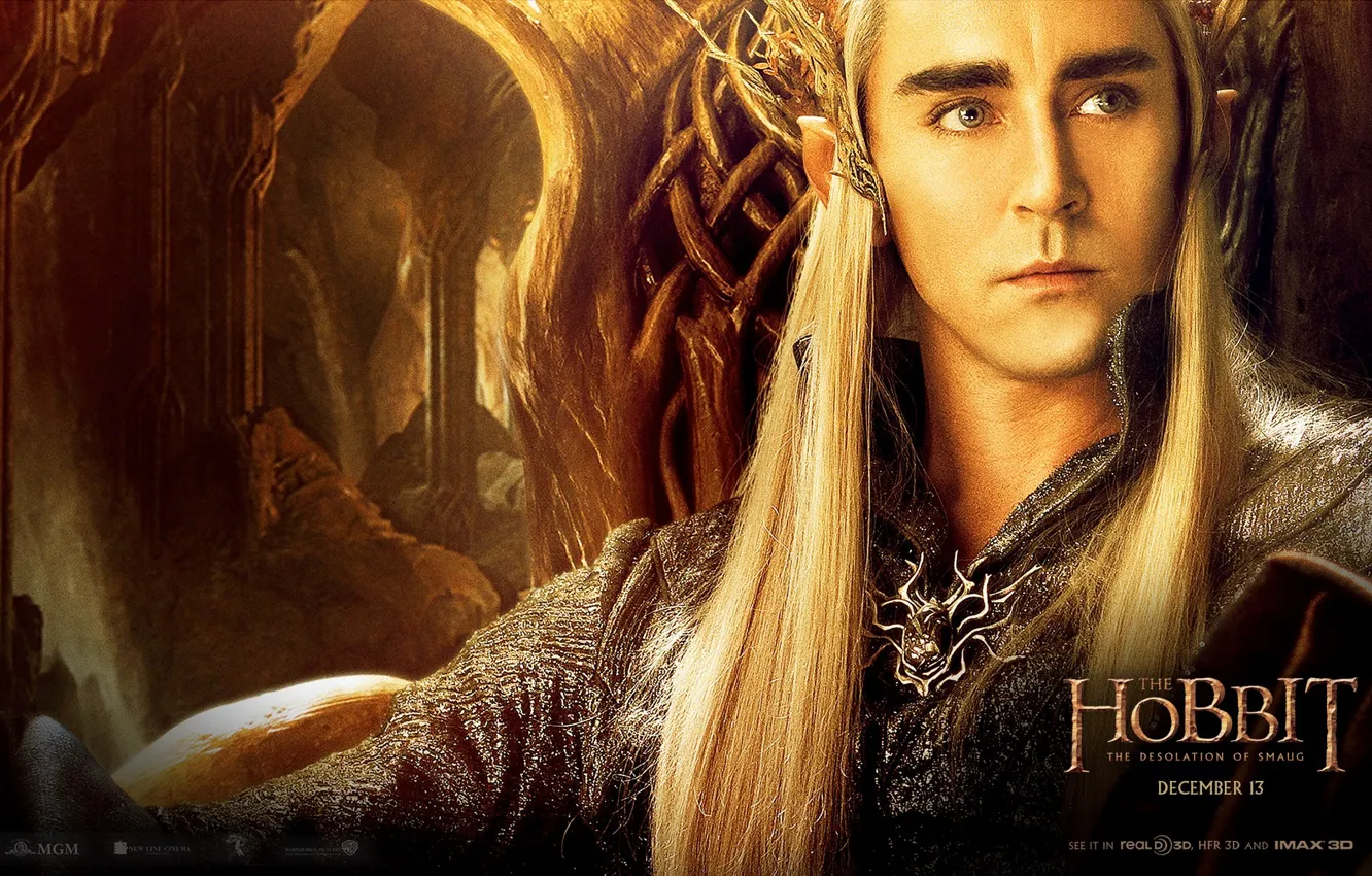 Photo wallpaper elf, elf, The hobbit, The Hobbit, Mirkwood, Murkwood, Thranduil, The Hobbit: The Desolation Of Smaug, …