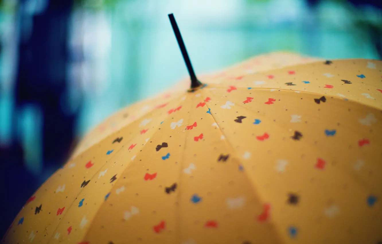 Photo wallpaper figure, umbrella, bows